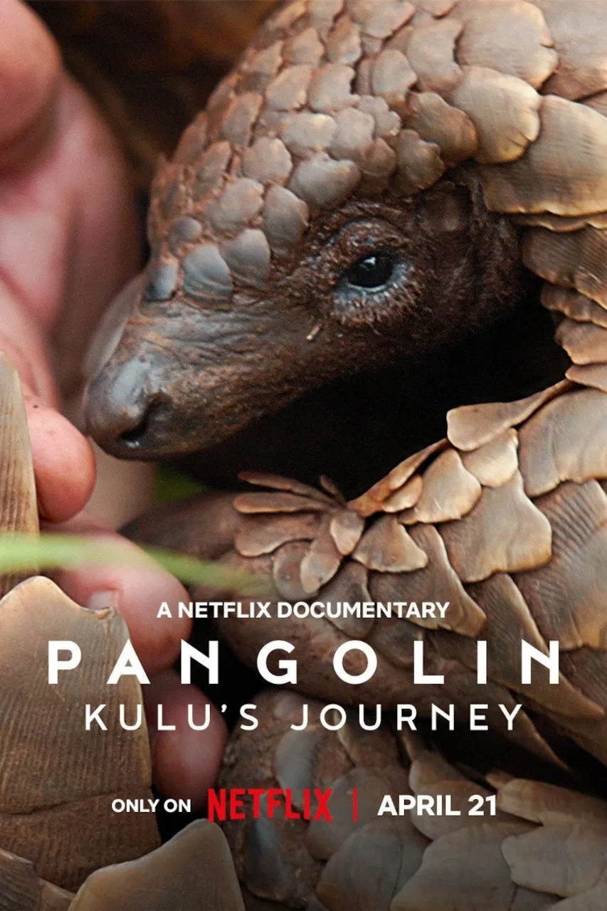 Pangolin: Kulu’s Journey / مستند پانگولین: سفر کولو