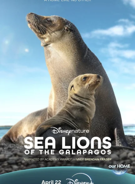 Sea Lions of the Galapagos / شیرهای دریایی گالاپاگوس