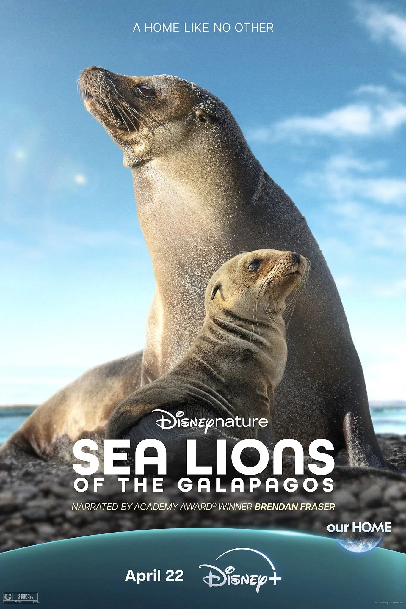 Sea Lions of the Galapagos / شیرهای دریایی گالاپاگوس