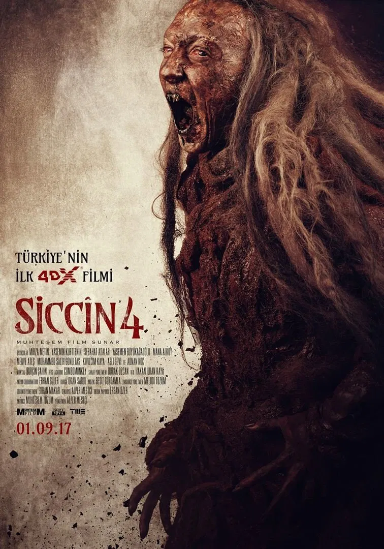 Siccin 4 / سجین 4