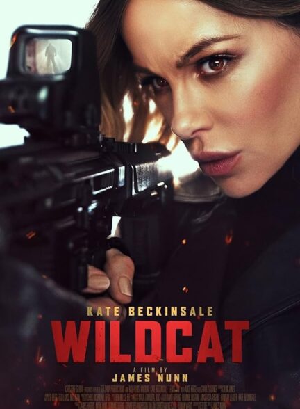Wildcat /  گربه وحشی