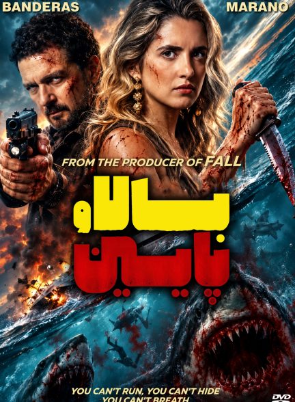 بالا و پایین