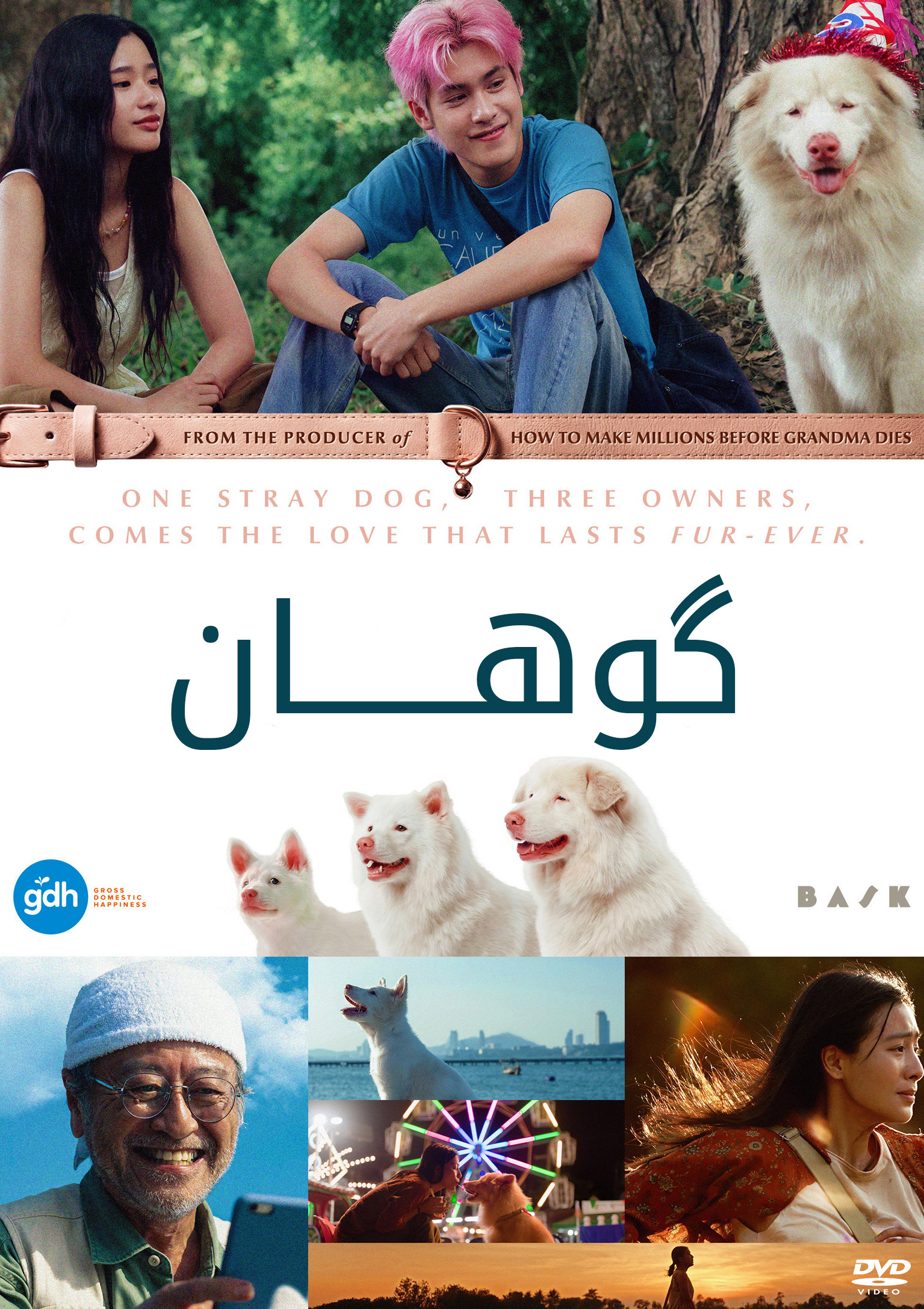 گوهان